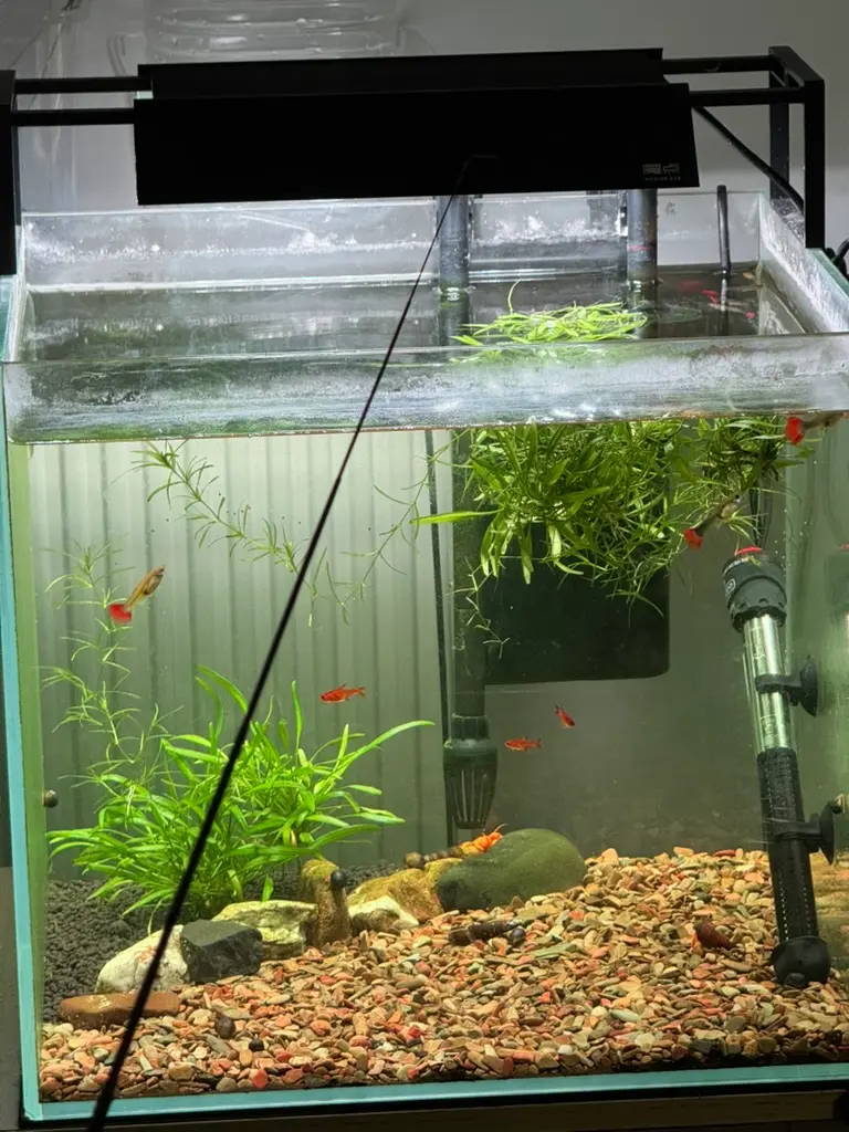 C94D5867-E4FA-4274-A725-8650348DF8D8_1_105_c